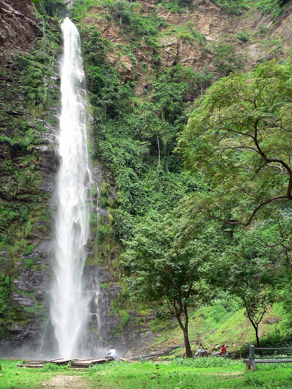 Wli waterfalls